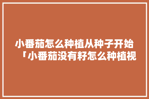 小番茄怎么种植从种子开始「小番茄没有籽怎么种植视频」 小番茄怎么种植从种子开始「小番茄没有籽怎么种植视频」 农业常识