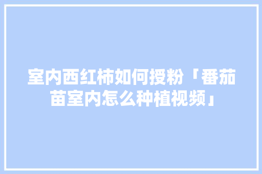 室内西红柿如何授粉「番茄苗室内怎么种植视频」 室内西红柿如何授粉「番茄苗室内怎么种植视频」 番茄种植技巧