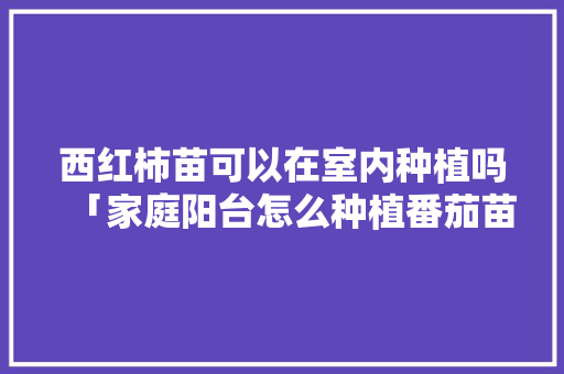 西红柿苗可以在室内种植吗「家庭阳台怎么种植番茄苗视频」 西红柿苗可以在室内种植吗「家庭阳台怎么种植番茄苗视频」 番茄病虫害防治