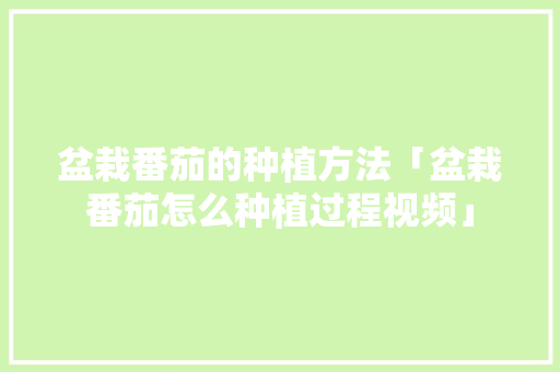 盆栽番茄的种植方法「盆栽番茄怎么种植过程视频」 盆栽番茄的种植方法「盆栽番茄怎么种植过程视频」 花朵知识