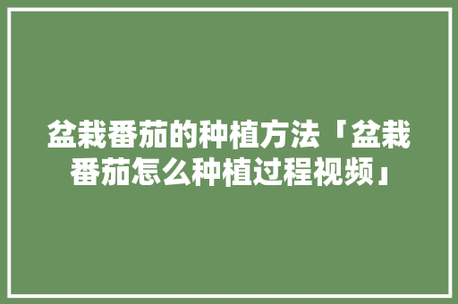 盆栽番茄的种植方法「盆栽番茄怎么种植过程视频」 盆栽番茄的种植方法「盆栽番茄怎么种植过程视频」 种植技巧