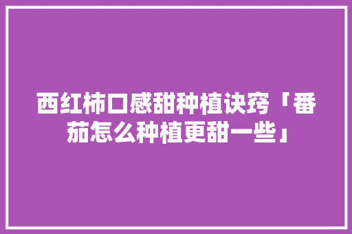 西红柿口感甜种植诀窍「番茄怎么种植更甜一些」 西红柿口感甜种植诀窍「番茄怎么种植更甜一些」 番茄病虫害防治
