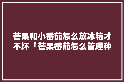 芒果和小番茄怎么放冰箱才不坏「芒果番茄怎么管理种植的」 芒果和小番茄怎么放冰箱才不坏「芒果番茄怎么管理种植的」 种植技巧