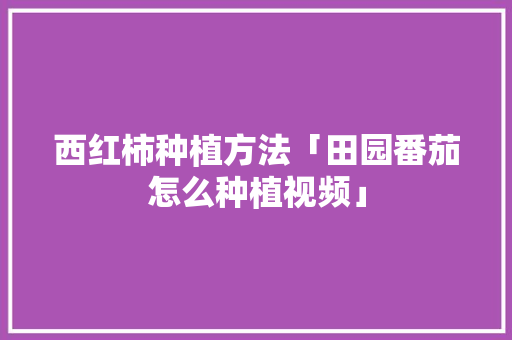 西红柿种植方法「田园番茄怎么种植视频」 西红柿种植方法「田园番茄怎么种植视频」 农业常识