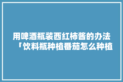 用啤酒瓶装西红柿酱的办法「饮料瓶种植番茄怎么种植的」 用啤酒瓶装西红柿酱的办法「饮料瓶种植番茄怎么种植的」 土壤施肥