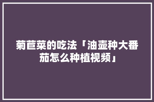 菊苣菜的吃法「油壶种大番茄怎么种植视频」 菊苣菜的吃法「油壶种大番茄怎么种植视频」 植物种类