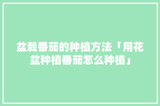 盆栽番茄的种植方法「用花盆种植番茄怎么种植」 盆栽番茄的种植方法「用花盆种植番茄怎么种植」 土壤施肥
