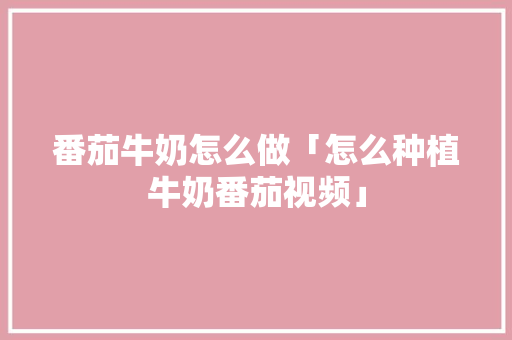 番茄牛奶怎么做「怎么种植牛奶番茄视频」