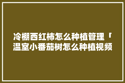 冷棚西红柿怎么种植管理「温室小番茄树怎么种植视频」 冷棚西红柿怎么种植管理「温室小番茄树怎么种植视频」 土壤施肥