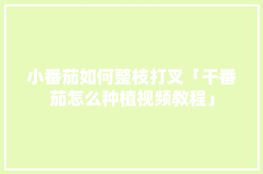 小番茄如何整枝打叉「干番茄怎么种植视频教程」 小番茄如何整枝打叉「干番茄怎么种植视频教程」 农业常识