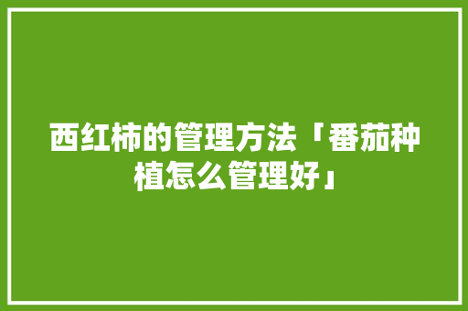 西红柿的管理方法「番茄种植怎么管理好」 西红柿的管理方法「番茄种植怎么管理好」 植物种类