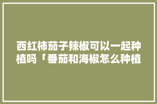 西红柿茄子辣椒可以一起种植吗「番茄和海椒怎么种植视频」 西红柿茄子辣椒可以一起种植吗「番茄和海椒怎么种植视频」 土壤施肥