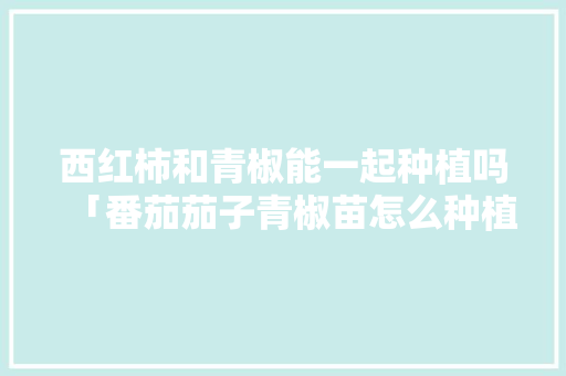 西红柿和青椒能一起种植吗「番茄茄子青椒苗怎么种植视频」 西红柿和青椒能一起种植吗「番茄茄子青椒苗怎么种植视频」 种植技巧