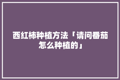 西红柿种植方法「请问番茄怎么种植的」 西红柿种植方法「请问番茄怎么种植的」 种植技巧