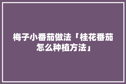 梅子小番茄做法「桂花番茄怎么种植方法」