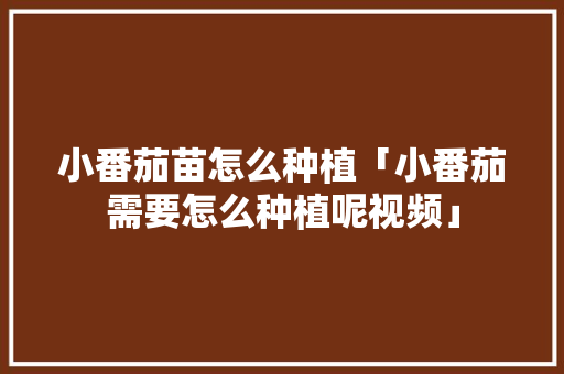 小番茄苗怎么种植「小番茄需要怎么种植呢视频」 小番茄苗怎么种植「小番茄需要怎么种植呢视频」 土壤施肥