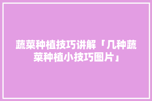 蔬菜种植技巧讲解「几种蔬菜种植小技巧图片」 蔬菜种植技巧讲解「几种蔬菜种植小技巧图片」 番茄病虫害防治