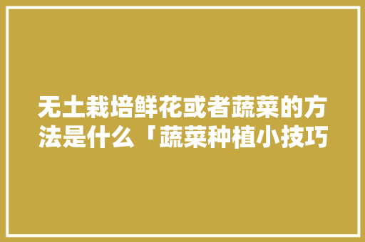 无土栽培鲜花或者蔬菜的方法是什么「蔬菜种植小技巧无土栽培视频」 无土栽培鲜花或者蔬菜的方法是什么「蔬菜种植小技巧无土栽培视频」 番茄种植技巧