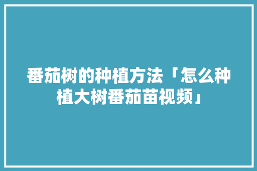 番茄树的种植方法「怎么种植大树番茄苗视频」 番茄树的种植方法「怎么种植大树番茄苗视频」 农业常识