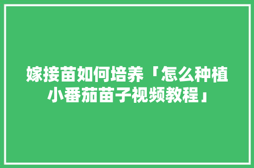 嫁接苗如何培养「怎么种植小番茄苗子视频教程」 嫁接苗如何培养「怎么种植小番茄苗子视频教程」 植物种类