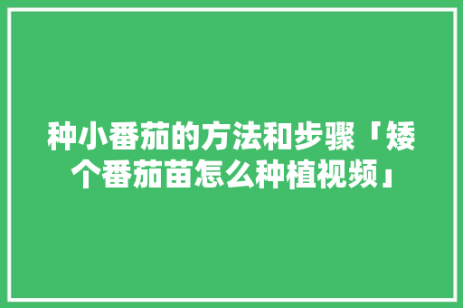 种小番茄的方法和步骤「矮个番茄苗怎么种植视频」 种小番茄的方法和步骤「矮个番茄苗怎么种植视频」 花朵知识
