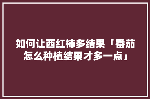 如何让西红柿多结果「番茄怎么种植结果才多一点」 如何让西红柿多结果「番茄怎么种植结果才多一点」 土壤施肥