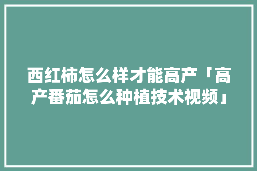 西红柿怎么样才能高产「高产番茄怎么种植技术视频」 番茄病虫害防治 西红柿怎么样才能高产「高产番茄怎么种植技术视频」 西红柿怎么样才能高产「高产番茄怎么种植技术视频」 番茄病虫害防治