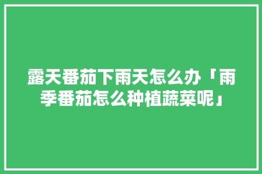 露天番茄下雨天怎么办「雨季番茄怎么种植蔬菜呢」 露天番茄下雨天怎么办「雨季番茄怎么种植蔬菜呢」 种植技巧
