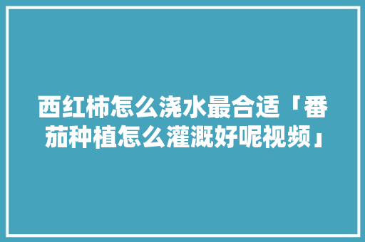 西红柿怎么浇水最合适「番茄种植怎么灌溉好呢视频」 西红柿怎么浇水最合适「番茄种植怎么灌溉好呢视频」 番茄种植技巧