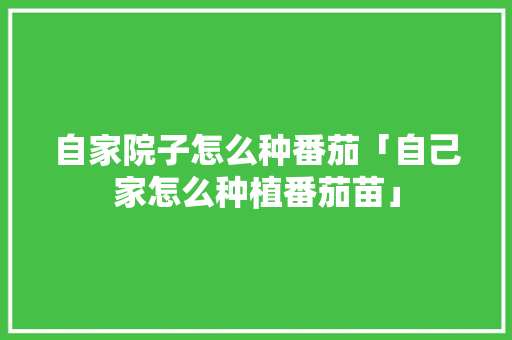自家院子怎么种番茄「自己家怎么种植番茄苗」 自家院子怎么种番茄「自己家怎么种植番茄苗」 番茄病虫害防治