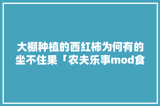 大棚种植的西红柿为何有的坐不住果「农夫乐事mod食谱」 番茄种植技巧 大棚种植的西红柿为何有的坐不住果「农夫乐事mod食谱」 大棚种植的西红柿为何有的坐不住果「农夫乐事mod食谱」 番茄种植技巧