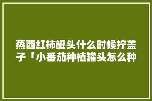 蒸西红柿罐头什么时候拧盖子「小番茄种植罐头怎么种植的」 蒸西红柿罐头什么时候拧盖子「小番茄种植罐头怎么种植的」 植物种类