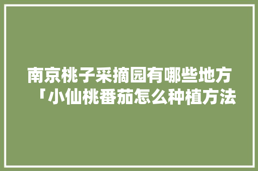 南京桃子采摘园有哪些地方「小仙桃番茄怎么种植方法视频」