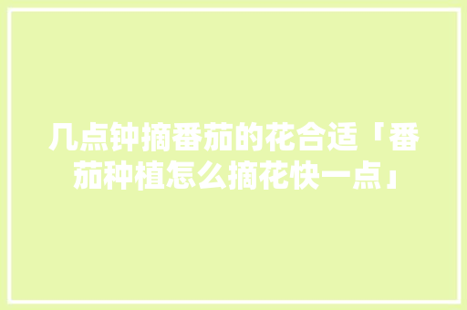 几点钟摘番茄的花合适「番茄种植怎么摘花快一点」 几点钟摘番茄的花合适「番茄种植怎么摘花快一点」 土壤施肥
