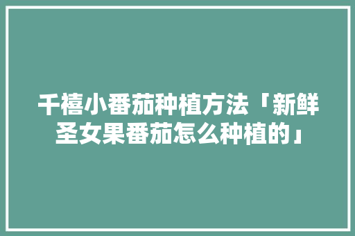 千禧小番茄种植方法「新鲜圣女果番茄怎么种植的」 千禧小番茄种植方法「新鲜圣女果番茄怎么种植的」 花朵知识