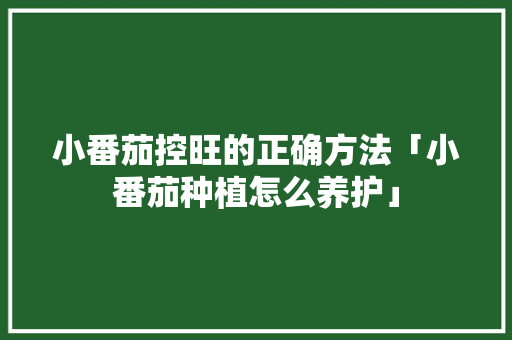 小番茄控旺的正确方法「小番茄种植怎么养护」 小番茄控旺的正确方法「小番茄种植怎么养护」 种植技巧