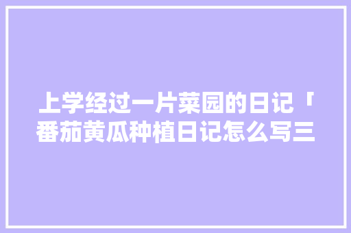 上学经过一片菜园的日记「番茄黄瓜种植日记怎么写三年级」