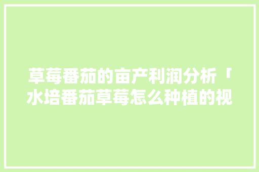 草莓番茄的亩产利润分析「水培番茄草莓怎么种植的视频」 草莓番茄的亩产利润分析「水培番茄草莓怎么种植的视频」 土壤施肥