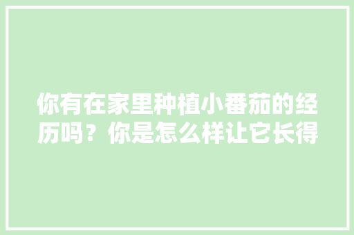 你有在家里种植小番茄的经历吗?你是怎么样让它长得更好的「怎么自己阳台种植番茄呢」 番茄种植技巧 你有在家里种植小番茄的经历吗?你是怎么样让它长得更好的「怎么自己阳台种植番茄呢」 你有在家里种植小番茄的经历吗?你是怎么样让它长得更好的「怎么自己阳台种植番茄呢」 番茄种植技巧
