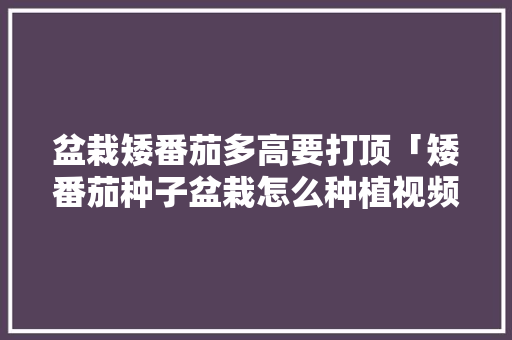 盆栽矮番茄多高要打顶「矮番茄种子盆栽怎么种植视频」 盆栽矮番茄多高要打顶「矮番茄种子盆栽怎么种植视频」 土壤施肥