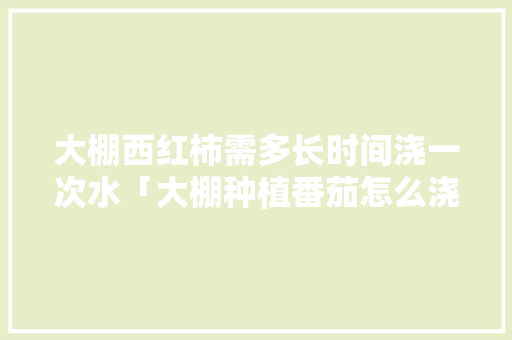 大棚西红柿需多长时间浇一次水「大棚种植番茄怎么浇水视频」 大棚西红柿需多长时间浇一次水「大棚种植番茄怎么浇水视频」 植物种类