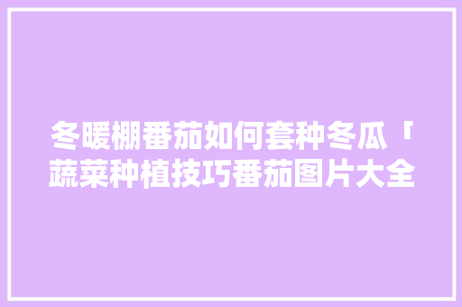 冬暖棚番茄如何套种冬瓜「蔬菜种植技巧番茄图片大全」 冬暖棚番茄如何套种冬瓜「蔬菜种植技巧番茄图片大全」 土壤施肥
