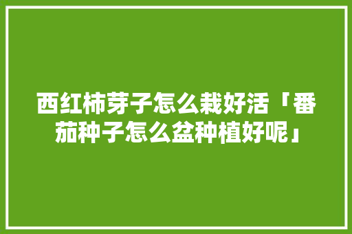 西红柿芽子怎么栽好活「番茄种子怎么盆种植好呢」 西红柿芽子怎么栽好活「番茄种子怎么盆种植好呢」 番茄病虫害防治