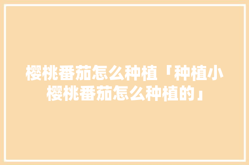 樱桃番茄怎么种植「种植小樱桃番茄怎么种植的」 番茄种植技巧 樱桃番茄怎么种植「种植小樱桃番茄怎么种植的」 樱桃番茄怎么种植「种植小樱桃番茄怎么种植的」 番茄种植技巧