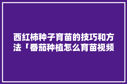 西红柿种子育苗的技巧和方法「番茄种植怎么育苗视频」 西红柿种子育苗的技巧和方法「番茄种植怎么育苗视频」 农业常识