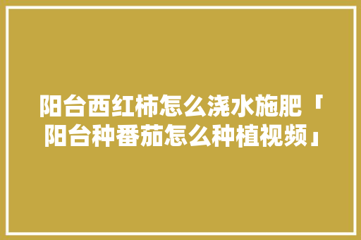 阳台西红柿怎么浇水施肥「阳台种番茄怎么种植视频」 阳台西红柿怎么浇水施肥「阳台种番茄怎么种植视频」 种植技巧