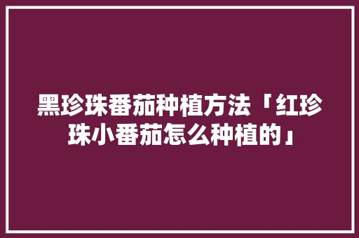 黑珍珠番茄种植方法「红珍珠小番茄怎么种植的」 黑珍珠番茄种植方法「红珍珠小番茄怎么种植的」 花朵知识