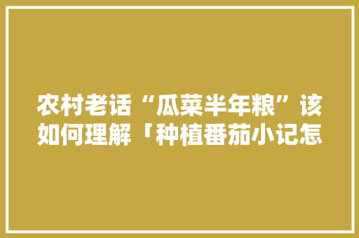 农村老话“瓜菜半年粮”该如何理解「种植番茄小记怎么写作文」 农村老话“瓜菜半年粮”该如何理解「种植番茄小记怎么写作文」 土壤施肥