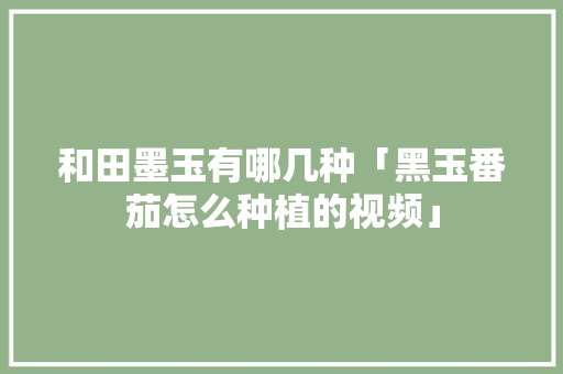 和田墨玉有哪几种「黑玉番茄怎么种植的视频」