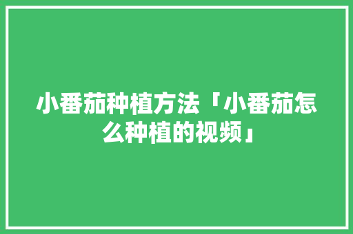 小番茄种植方法「小番茄怎么种植的视频」 植物种类 小番茄种植方法「小番茄怎么种植的视频」 小番茄种植方法「小番茄怎么种植的视频」 植物种类